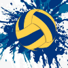 排球